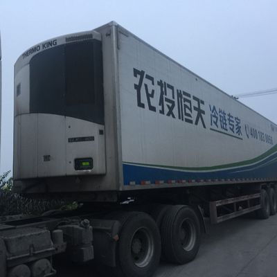 Unité de congélation thermo King 0 Celsius SLXI 300 pour le refroidissement des aliments