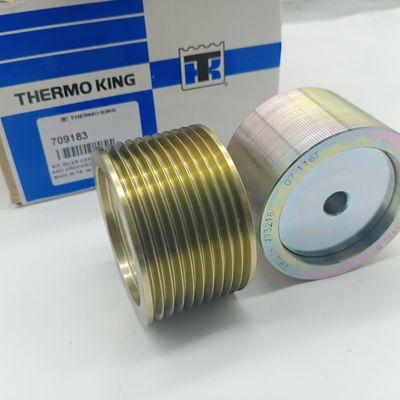 TS16949 tendeur de courroie thermo du Roi Refrigeration Units 709183
